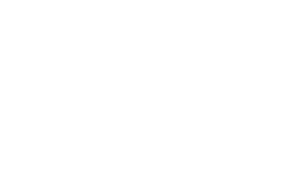 Infonet Fibra